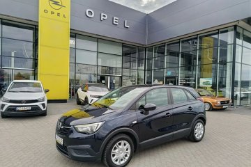 Pierwszy właściciel. Salon Polska