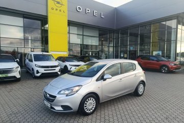 Pierwszy właściciel. Salon Polska