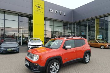 Pierwszy właściciel. Salon Polska