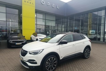 Pierwszy właściciel. Salon Polska