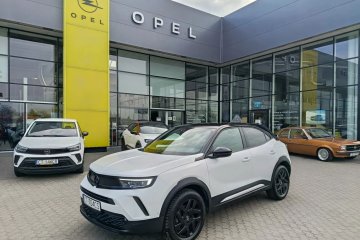 Pierwszy właściciel. Salon Polska