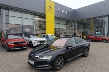 Pierwszy właściciel. Salon Polska