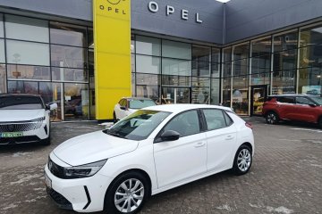 Pierwszy właściciel. Salon Polska