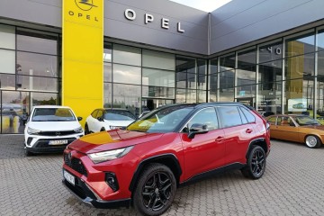 Pierwszy właściciel. Salon Polska