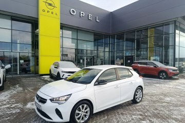 Pierwszy właściciel. Salon Polska