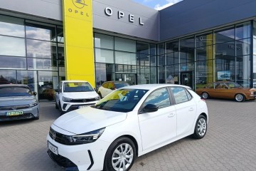 Pierwszy właściciel. Salon Polska